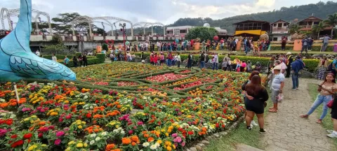 Feria de las Flores continuará abierta para exhibición