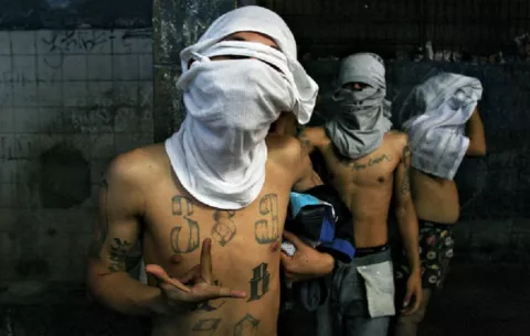 Homicidios disminuyen un 11 % en comparación al año 2024