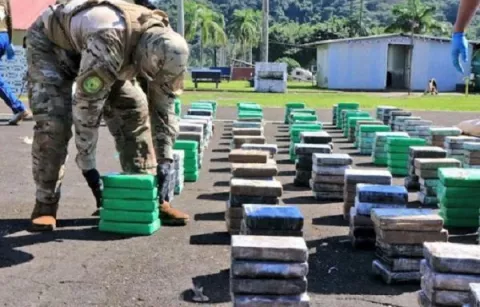 Hallan 220 paquetes de droga ocultos en troncos de madera