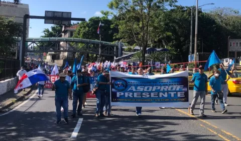 Asoprof pide a las autoridades definir una 'fecha tope' para la nueva ley educativa 