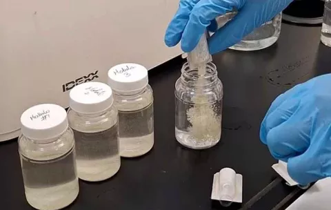 IDAAN descarta contaminación del agua potable en Chiriquí y mantiene monitoreo tras brote de vómito y diarrea