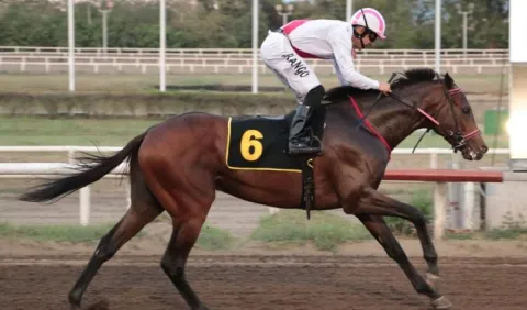Nueve caballos van por los primeros puntos para el Clásico del Caribe