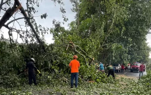 Fuertes vientos causan estragos en Panamá y San Miguelito: Sinaproc emite aviso de prevención