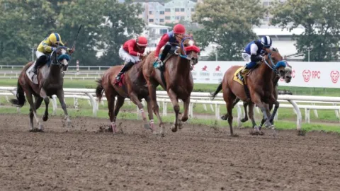 Wonder Lady va por su cuarta victoria al hilo