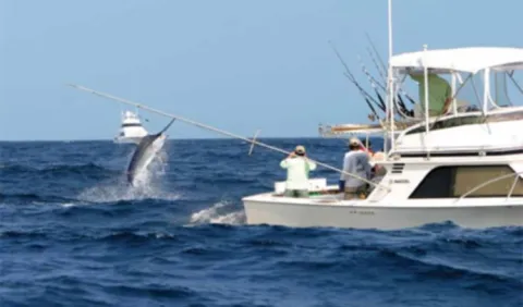 Panamá se proyecta como meca mundial de la pesca deportiva
