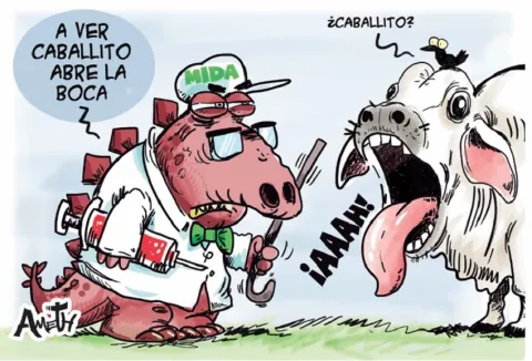 Trazo del Día – 26 de agosto de 2026