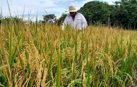 El agro se prepara ante un escenario incierto
