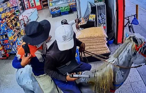 Localizan a caballo utilizado en un asalto armado a minisúper en Río Hato