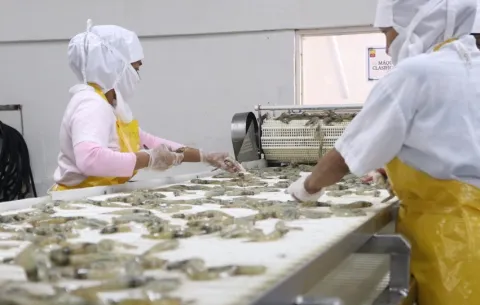 Exportaciones de productos del mar sumaron $101.6 millones en el primer semestre de 2026