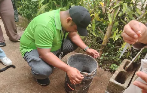 Confirman la cuarta muerte por dengue grave en Colón; la víctima residía en Sabanitas