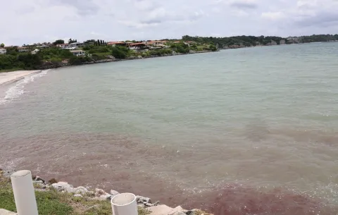 MiAmbiente investiga origen de misteriosa mancha roja en playa Vista Mar y San Carlos