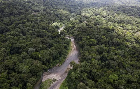 Minería ilegal: 21 colombianos detenidos en el Darién bajo la Operación Escudo de Acero.