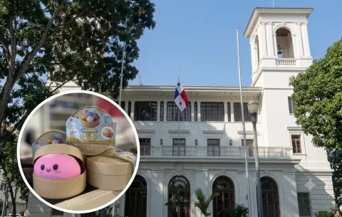 Minsa alerta sobre posible presencia de benceno en juguetes “Squishy” o “Squeezy Dumplings”