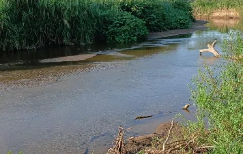 Agrupaciones advierten riesgo en el suministro de agua potable de Natá y Aguadulce por proyectos en el río Chico