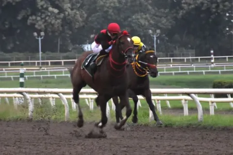 Takao vence a Booz Baruc y conquista el Junta de Control de Juegos