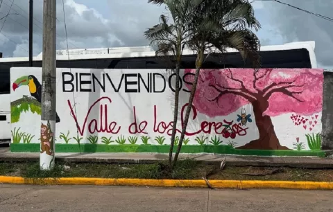 ¡Siguen pagando sus hipotecas! Defensoría interviene por grave deterioro de 598 casas en Vacamonte