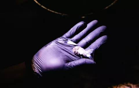 Desmantelan puntos de venta de droga en Colón y Panamá Oeste tras 12 allanamientos