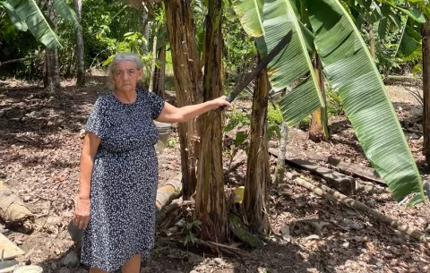 Idalides Calderón, una heroína del agro, recibe reconocimiento de la FAO
