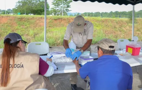 Minsa reitera que es seguro comprar alimentos en Merca Panamá pese a casos de malaria
