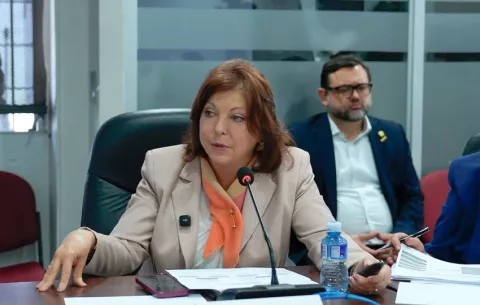 Roxana Méndez renuncia a la dirección de la Autoridad de Descentralización