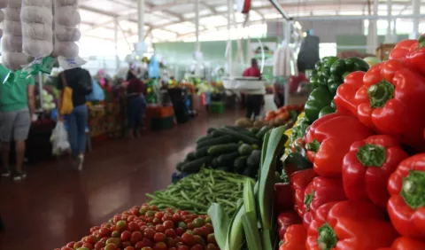 Restricción de paso por el Puente de las Américas afectaría a los productores