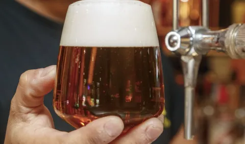 La pureza de la cerveza