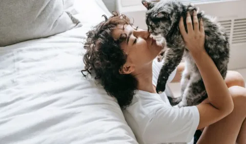 ¿Por qué el 8 de agosto se celebra el Día Internacional del Gato?