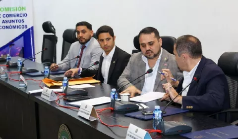 Debate de reformas al servicio de electricidad entra en etapa crucial