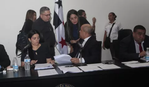 Prohijamiento y críticas para proyecto de Zulay Rodríguez sobre protección a artistas y músicos nacionales