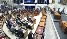 Los miembros de los grupos deberán elegir a su junta directiva.  Cortesía
