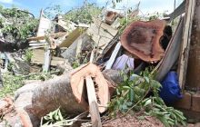 Los daños provocados por el paso del huracán Melissa. Foto: EFE