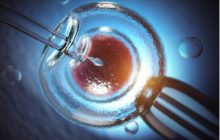 Los factores masculinos suponen cerca del 40 % de los casos de infertilidad en las parejas. Foto: EFE