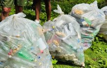 La inconsciencia de los visitantes perjudica las áreas protegidas. Foto: Cortesía