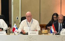 El viceministro de Asuntos Multilaterales y Cooperación, Carlos Guevara Mann. Foto: Cortesía