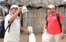 El dengue es una enfermedad grave y potencialmente mortal, transmitida a través de la picadura del mosquito de la especie 'Aedes aegypti'. Foto: Cortesía