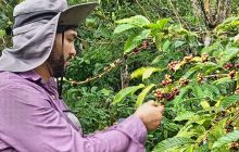 La jornada de campo incluyo un conversatorio sobre el manejo del café, enfermedades, poda, entre otros. Foto: Diomedez Díaz
