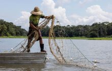 En Latinoamérica y el Caribe existe 