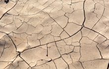 Las graves sequías y la pérdida de tierras fértiles ya están afectando a la producción de alimentos y energía, según especialista. Foto: Ilustrativa/Pexels