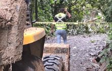 A causa de estos inconvenientes, más de 30 familias habían quedado totalmente incomunicadas. Foto. Cortesía