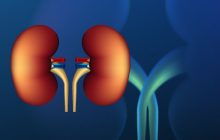 La tanto la diabetes tipo 2 es la causa más común de insuficiencia renal crónica. Foto:  Ilustrativa / Freepik