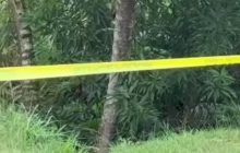 El hallazgo se dio a orillas de un río. Foto:  Diómedes Sánchez