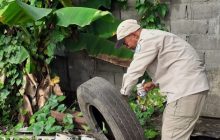 Las autoridades recomiendan eliminar los criaderos de mosquitos. Foto: Cortesía