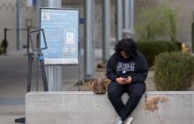 Una persona ingresa desde su teléfono móvil a la aplicación CBP One, desde donde los migrantes pueden tramitar su autodeportación en Estados Unidos. Foto: EFE