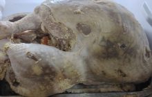 Solicitan a la ciudadaníatener cuidado con lo que come y bebe durante las fiestas. Foto: Diómedes Sánchez