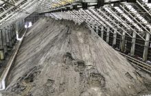 La nueva exportación dejará réditos superiores al país.