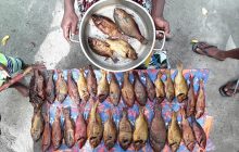Una variedad de peces de arrecife ahumados. Foto: Jessica Zamborain-Mason