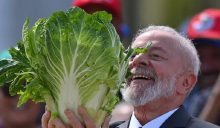 El presidente de Brasil, Luiz Inácio Lula da Silva, sostiene una bietola mientras visita una feria de verduras en una foto de archivo. EFE/ André Borges