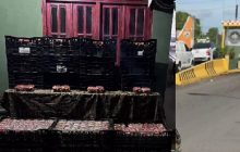 En el vehículo detenido se ubicaron 900  envases de fresas no declaradas. Foto. Senafront