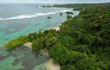 Isla Escudo de Veraguas Degó se mantiene en recuperación. Foto: Cortesía/MiAmbiente