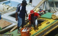 Actividad pesquera. Foto: Archivo